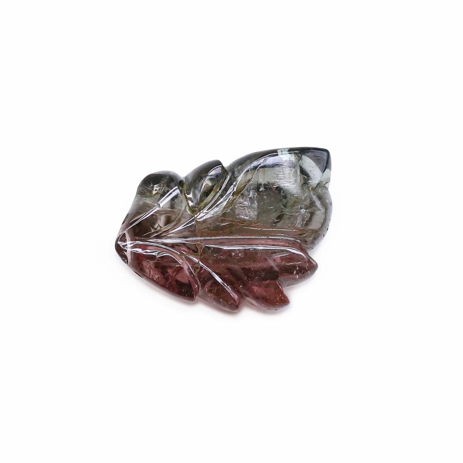 Bi-Color Tourmaline 21x15mm Carved Fancy