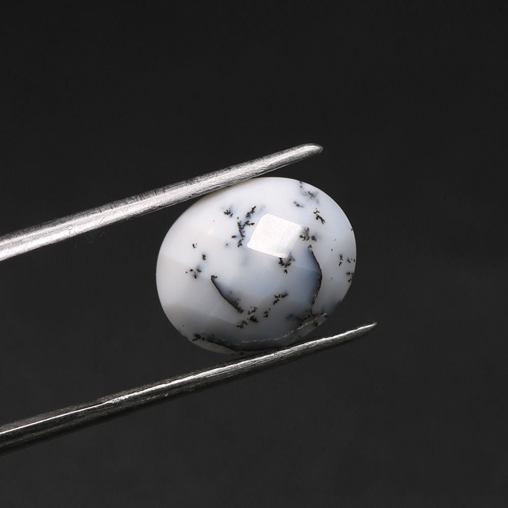 Dendritic Opal Oval Briolette