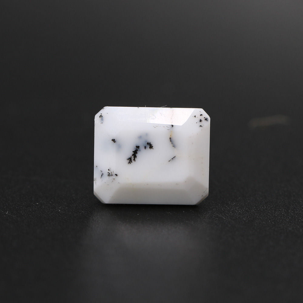 Dendritic Opal Octagon Faceted