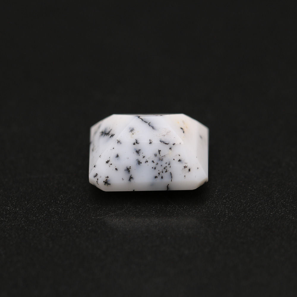 Dendritic Opal Octagon Faceted