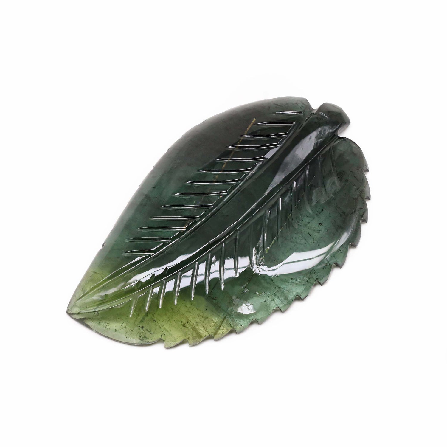 Green Tourmaline 61x33mm Carved Leaf