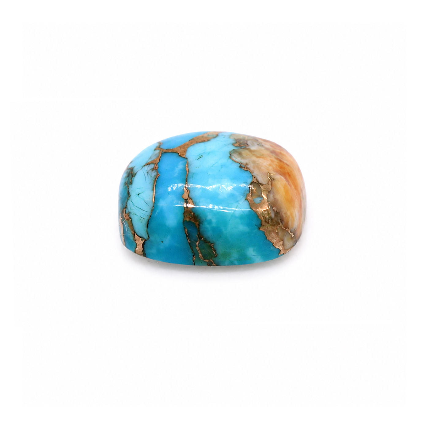 Oyster Copper Turquoise Elongated Cushion Cabochon