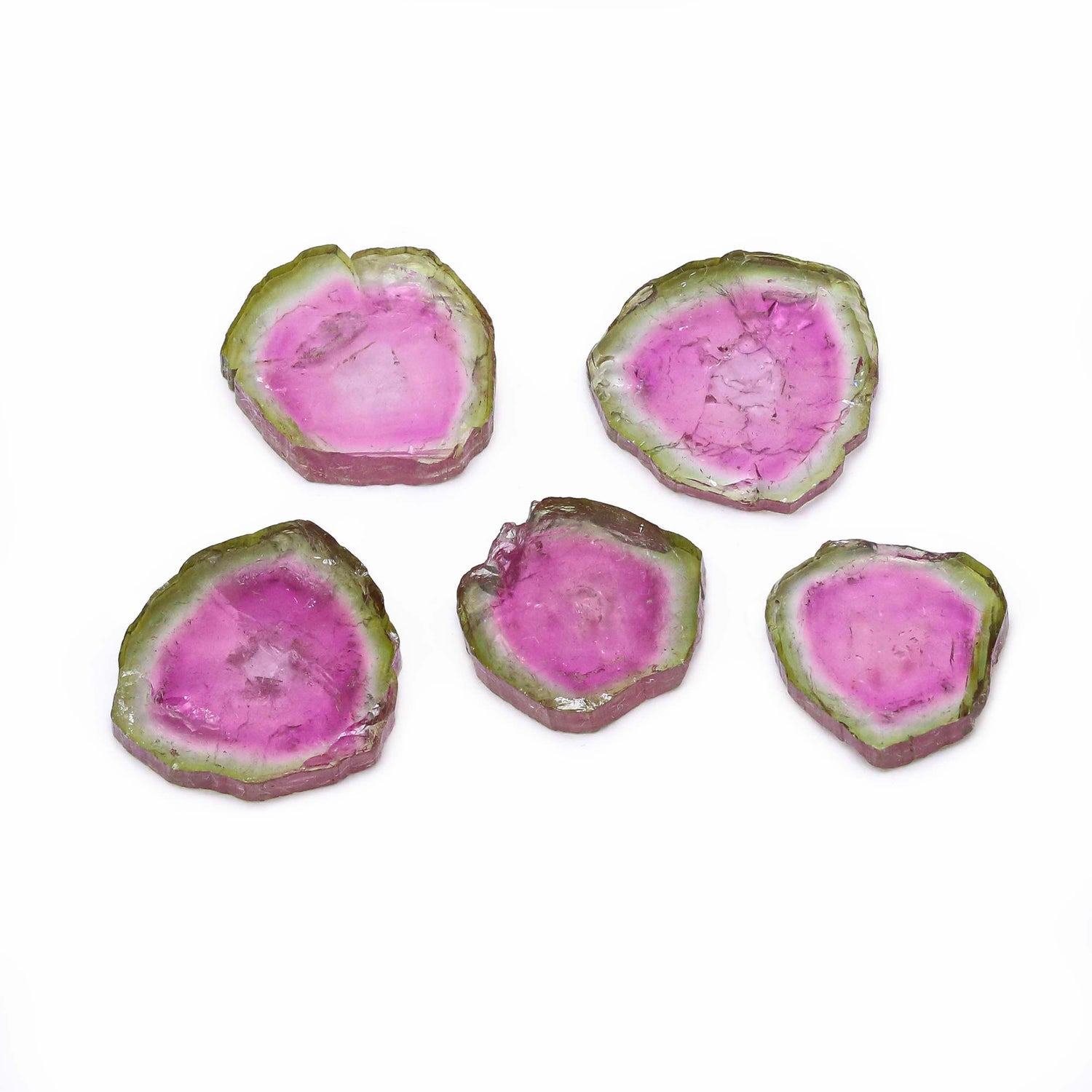 Watermelon Tourmaline 11x10.50mm To 14x12.50mm Slices