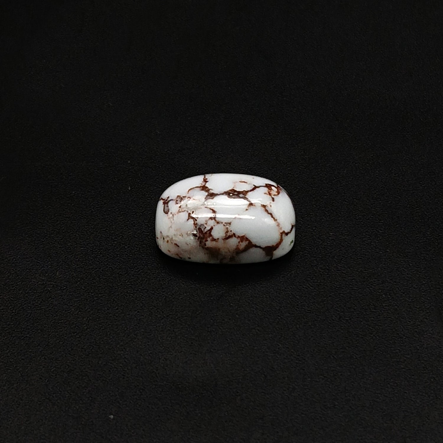 Wild Horse Jasper Elongated Cushion Cabochon