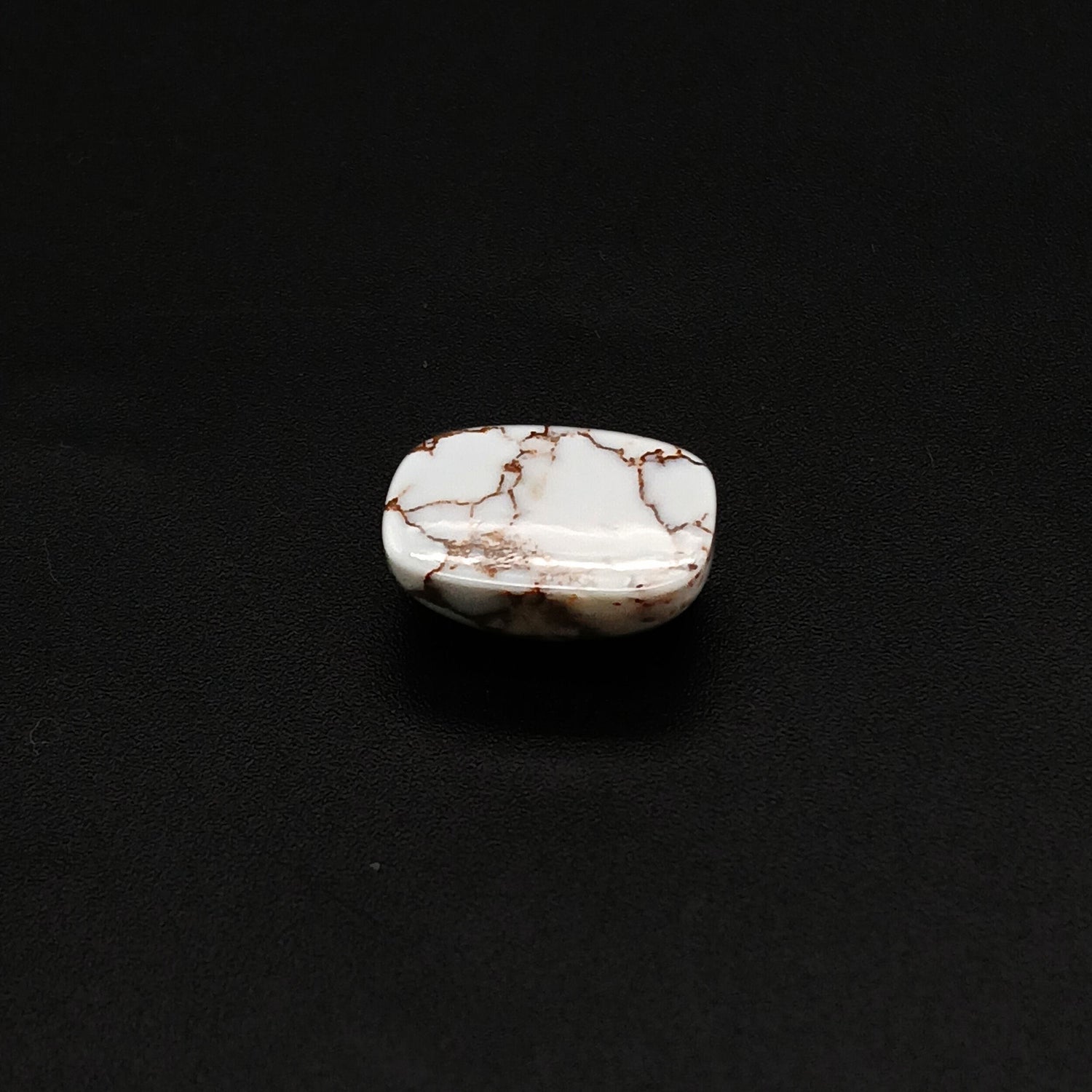 Wild Horse Jasper Elongated Cushion Cabochon