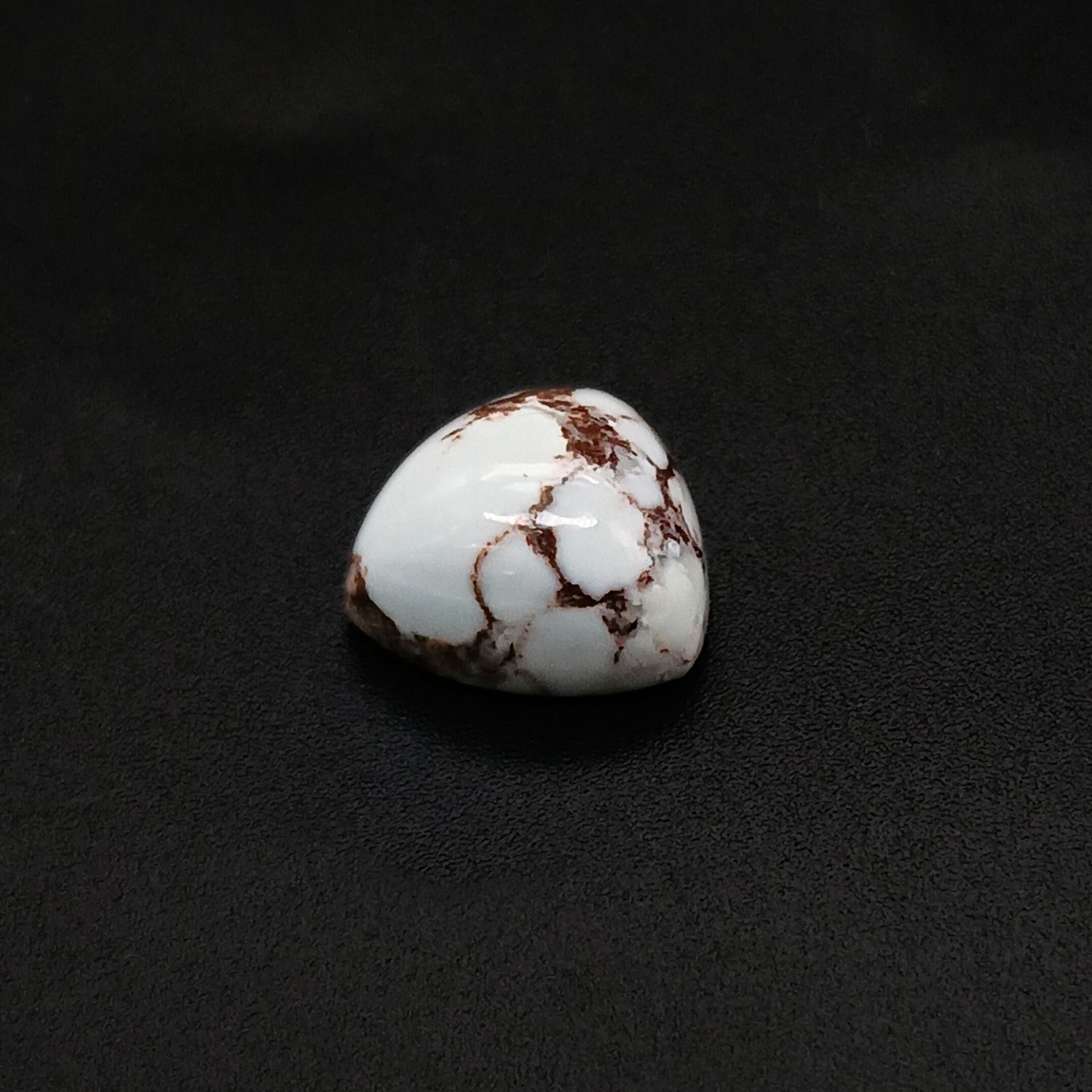 Wild Horse Jasper Trillion Cabochon