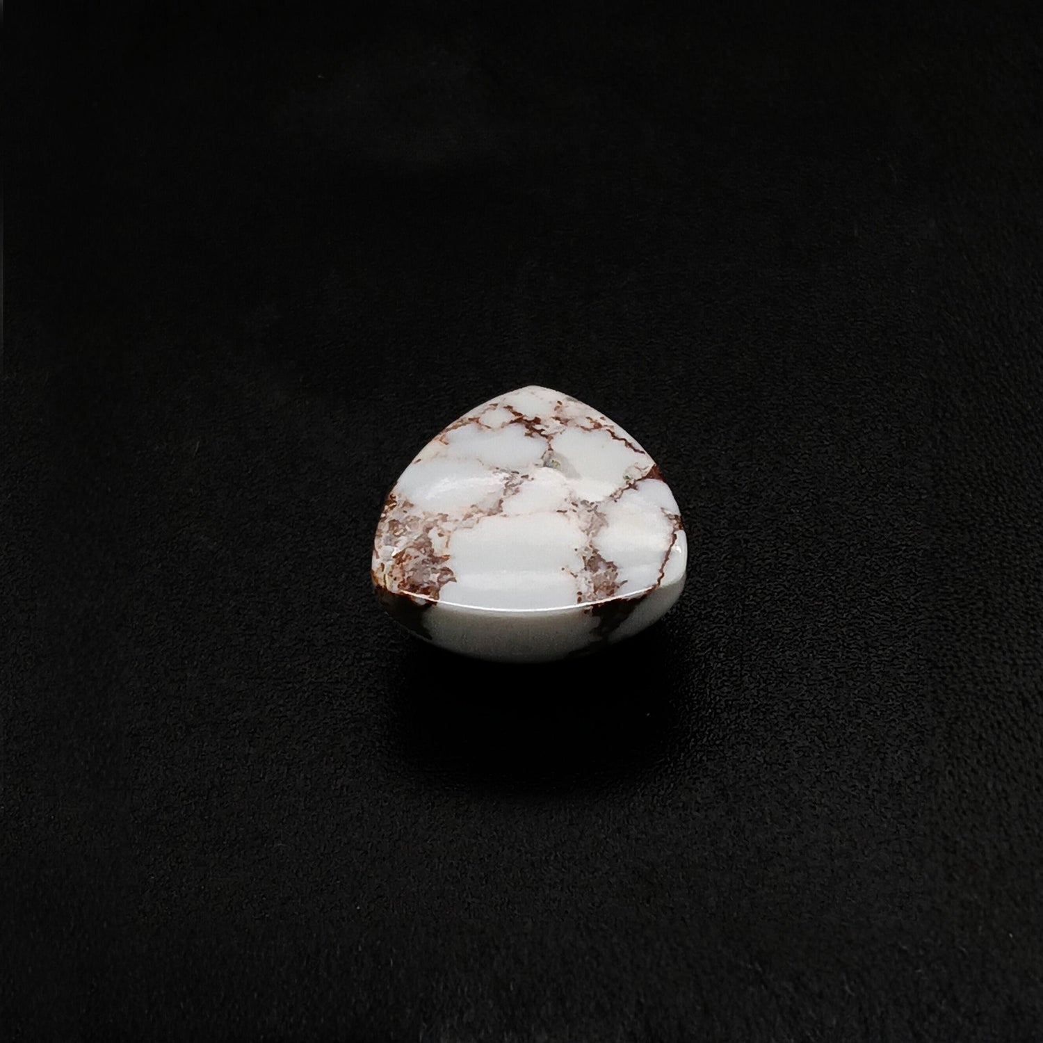 Wild Horse Jasper Trillion Cabochon